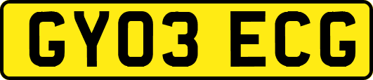 GY03ECG