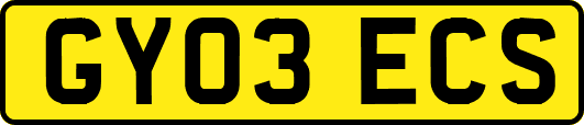 GY03ECS
