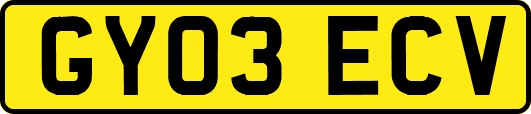 GY03ECV