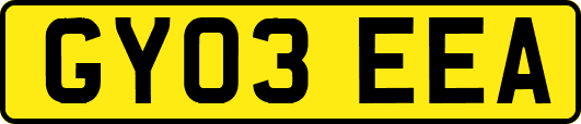 GY03EEA