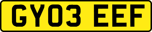 GY03EEF