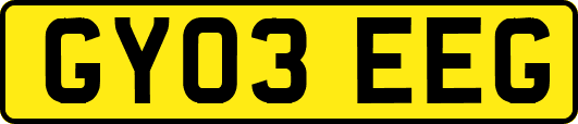 GY03EEG