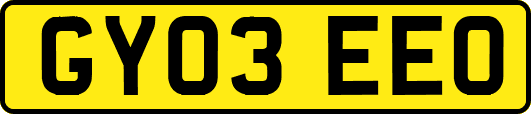 GY03EEO