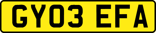 GY03EFA