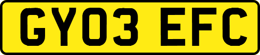 GY03EFC