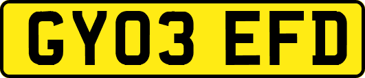 GY03EFD
