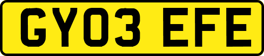 GY03EFE
