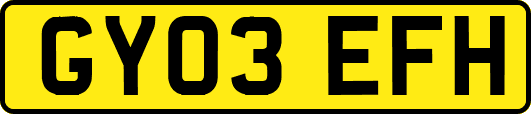 GY03EFH