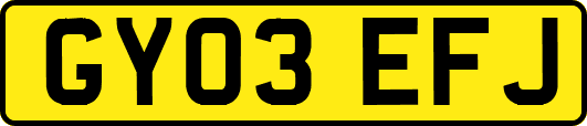GY03EFJ
