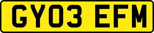 GY03EFM