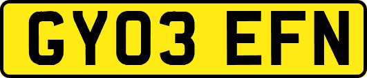 GY03EFN