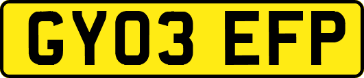 GY03EFP