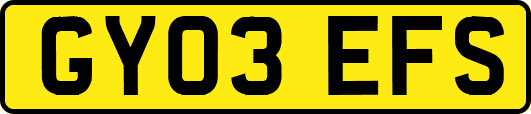 GY03EFS