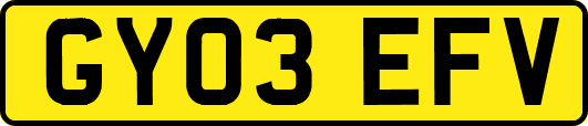GY03EFV