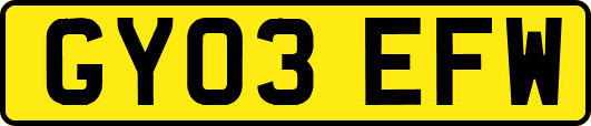 GY03EFW