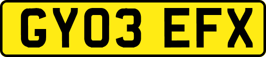 GY03EFX