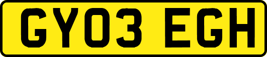 GY03EGH