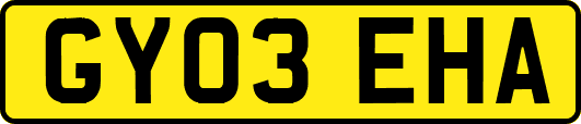 GY03EHA