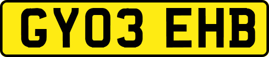 GY03EHB