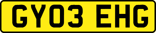 GY03EHG