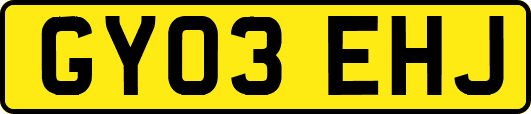 GY03EHJ