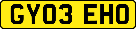 GY03EHO