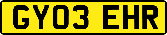 GY03EHR