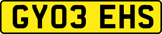 GY03EHS