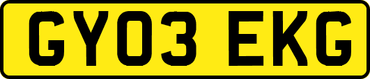 GY03EKG
