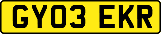 GY03EKR
