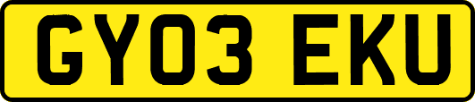 GY03EKU
