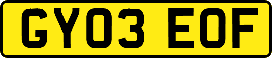 GY03EOF