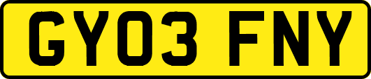 GY03FNY