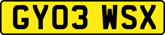 GY03WSX