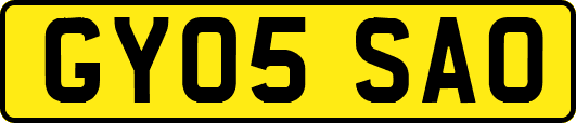 GY05SAO