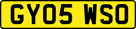 GY05WSO