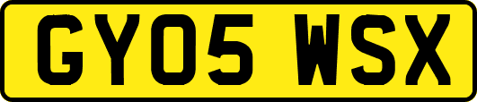 GY05WSX