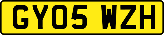 GY05WZH