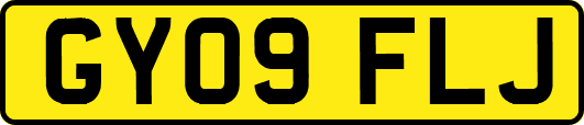 GY09FLJ