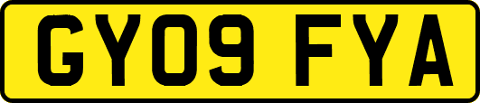 GY09FYA