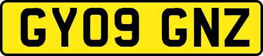 GY09GNZ