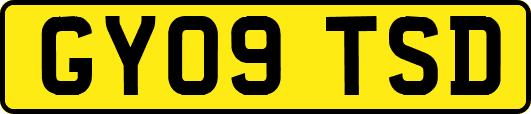 GY09TSD