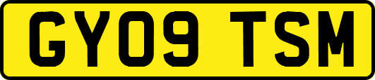 GY09TSM