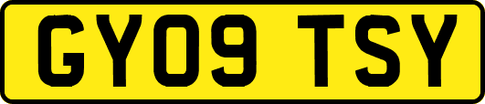 GY09TSY