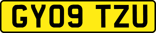 GY09TZU