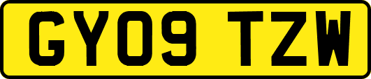 GY09TZW