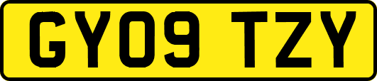 GY09TZY