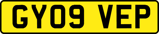 GY09VEP