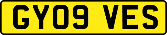 GY09VES