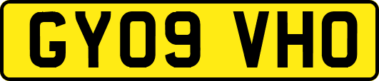 GY09VHO